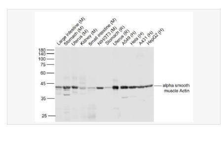 搜狗截图23年04月19日1043_10.png 搜狗截图23年04月19日1043_10.png