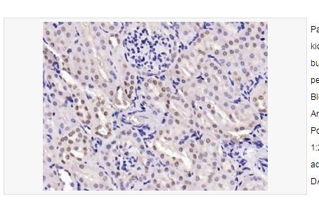 搜狗截图23年04月19日1157_25.png 搜狗截图23年04月19日1157_25.png