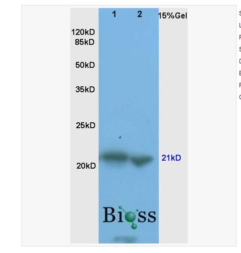 搜狗截图23年04月19日1229_5.png 搜狗截图23年04月19日1229_5.png