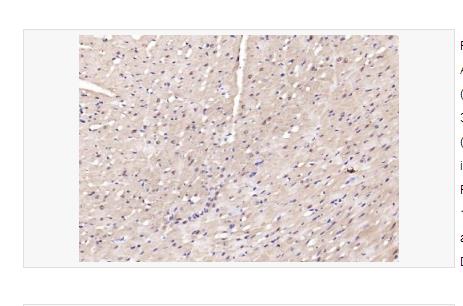 搜狗截图23年04月20日1349_74.png 搜狗截图23年04月20日1349_74.png