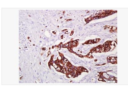 搜狗截图23年04月20日1826_36.png 搜狗截图23年04月20日1826_36.png