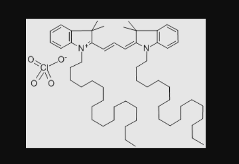 DiI细胞膜荧光探针橙红色