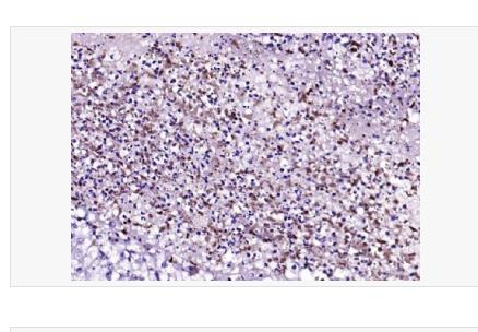 搜狗截图23年04月21日1018_41.png 搜狗截图23年04月21日1018_41.png