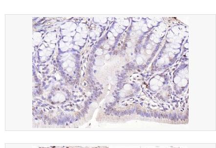 搜狗截图23年04月21日1112_60.png 搜狗截图23年04月21日1112_60.png