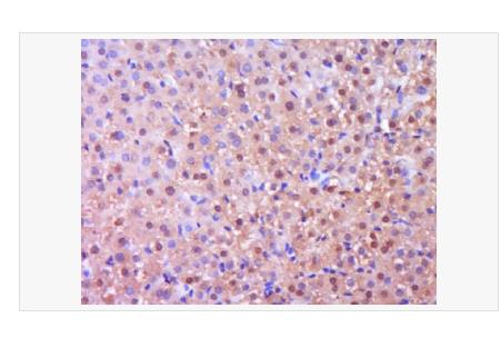 搜狗截图23年04月21日1126_64.png 搜狗截图23年04月21日1126_64.png