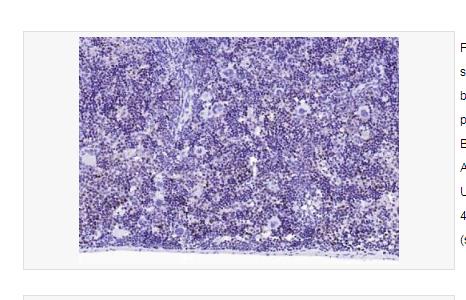 搜狗截图23年04月21日1133_66.png 搜狗截图23年04月21日1133_66.png