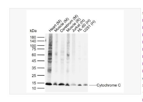 搜狗截图23年04月21日1143_69.png 搜狗截图23年04月21日1143_69.png