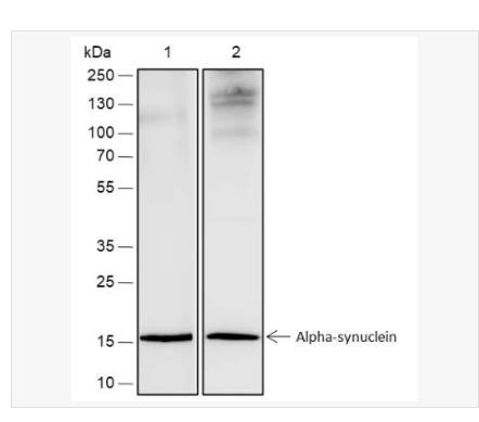搜狗截图23年04月21日1207_76.png 搜狗截图23年04月21日1207_76.png