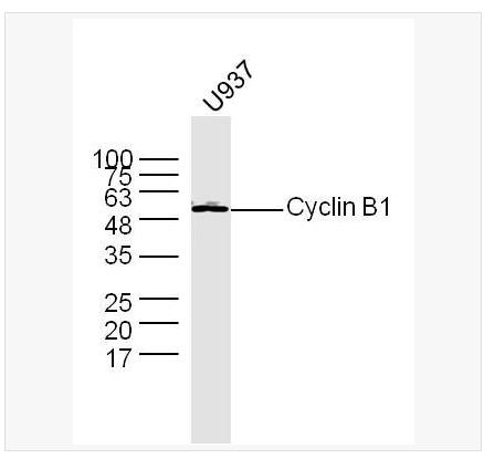 搜狗截图23年04月21日1523_87.png 搜狗截图23年04月21日1523_87.png