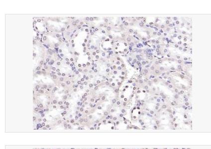 搜狗截图23年04月21日1701_115.png 搜狗截图23年04月21日1701_115.png