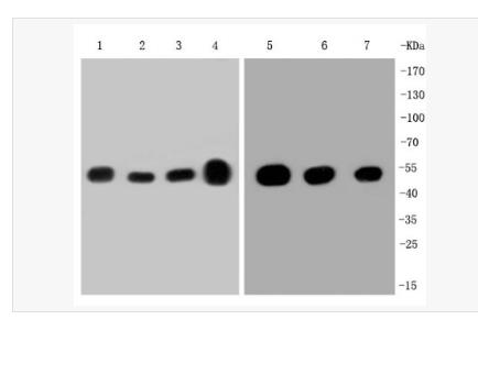 搜狗截图23年04月21日1758_134.png 搜狗截图23年04月21日1758_134.png