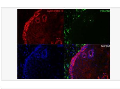 搜狗截图23年04月22日1714_37.png 搜狗截图23年04月22日1714_37.png