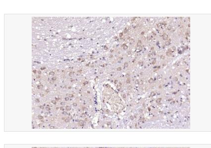 搜狗截图23年04月23日1023_59.png 搜狗截图23年04月23日1023_59.png