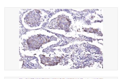 搜狗截图23年04月24日1601_83.png 搜狗截图23年04月24日1601_83.png