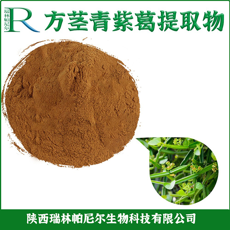 方茎青紫葛提取物50：1翡翠阁粉 250克装 Cissus quadrangulari