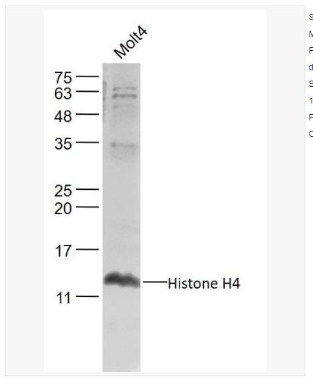 搜狗截图23年04月25日1117_105.png 搜狗截图23年04月25日1117_105.png