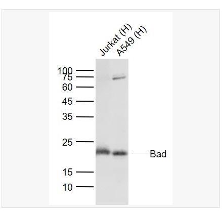 搜狗截图23年04月25日1131_109.png 搜狗截图23年04月25日1131_109.png