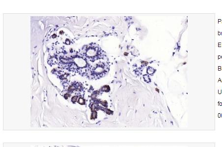 搜狗截图23年04月25日1135_110.png 搜狗截图23年04月25日1135_110.png