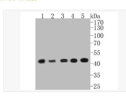搜狗截图23年04月25日1226_116.png 搜狗截图23年04月25日1226_116.png