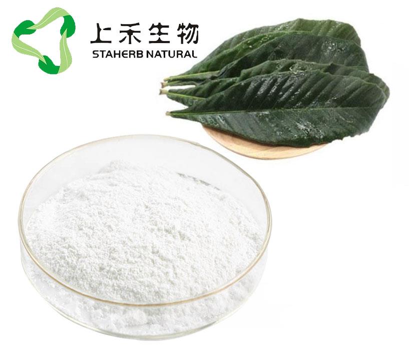 枇杷叶提取物科罗索酸2.jpg 枇杷叶提取物科罗索酸2.jpg