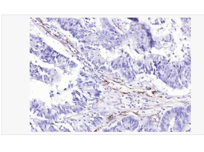 搜狗截图23年04月26日1712_206.png 搜狗截图23年04月26日1712_206.png