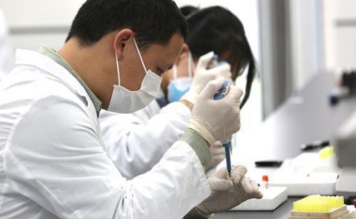 刚果红染色服务-艾普蒂生物