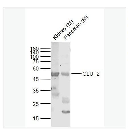 搜狗截图23年04月27日1353_260.png 搜狗截图23年04月27日1353_260.png
