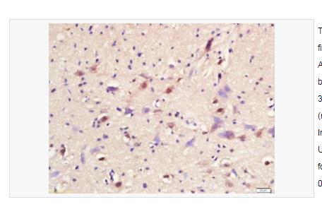 搜狗截图23年04月27日1404_264.png 搜狗截图23年04月27日1404_264.png