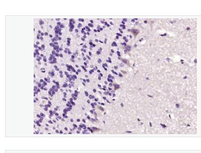 搜狗截图23年04月27日1553_275.png 搜狗截图23年04月27日1553_275.png