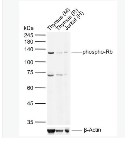 搜狗截图23年04月27日1655_297.png 搜狗截图23年04月27日1655_297.png