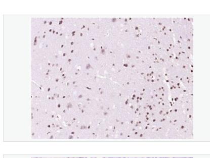 搜狗截图23年04月27日1746_318.png 搜狗截图23年04月27日1746_318.png