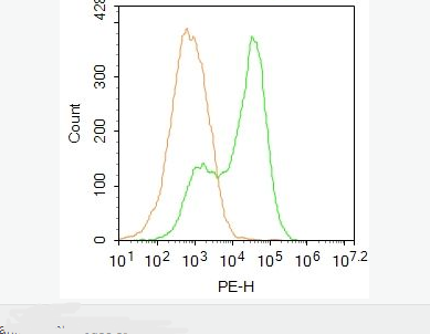 Anti-SGK1 antibody-糖皮质激素调节激酶1抗体