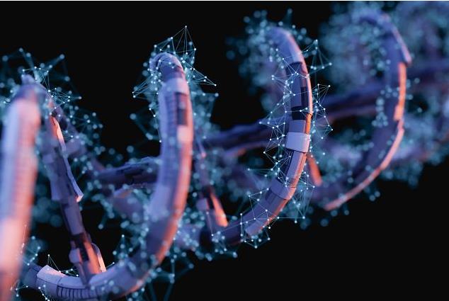 质粒DNA制备服务-艾普蒂生物