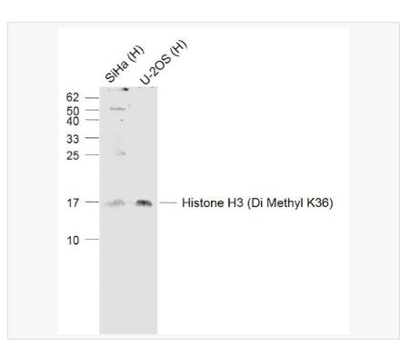 搜狗截图23年04月28日1326_338.png 搜狗截图23年04月28日1326_338.png