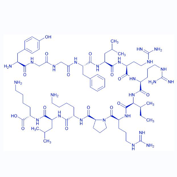 Dynorphin A (1-13) 72957-38-1.png Dynorphin A (1-13) 72957-38-1.png