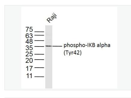 搜狗截图23年04月28日1705_349.png 搜狗截图23年04月28日1705_349.png