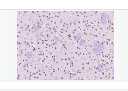 搜狗截图23年04月28日1711_351.png 搜狗截图23年04月28日1711_351.png