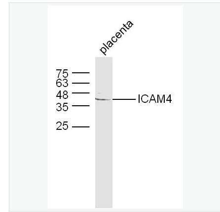 搜狗截图23年04月28日1736_360.png 搜狗截图23年04月28日1736_360.png