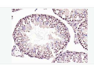 搜狗截图23年04月28日1750_364.png 搜狗截图23年04月28日1750_364.png