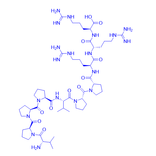 Ras抑制肽/159088-48-9/Ras Inhibitory Peptide
