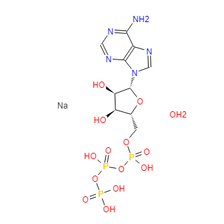 腺苷-5'-三磷酸二钠盐,水合物