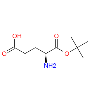 1-谷氨酸叔丁酯