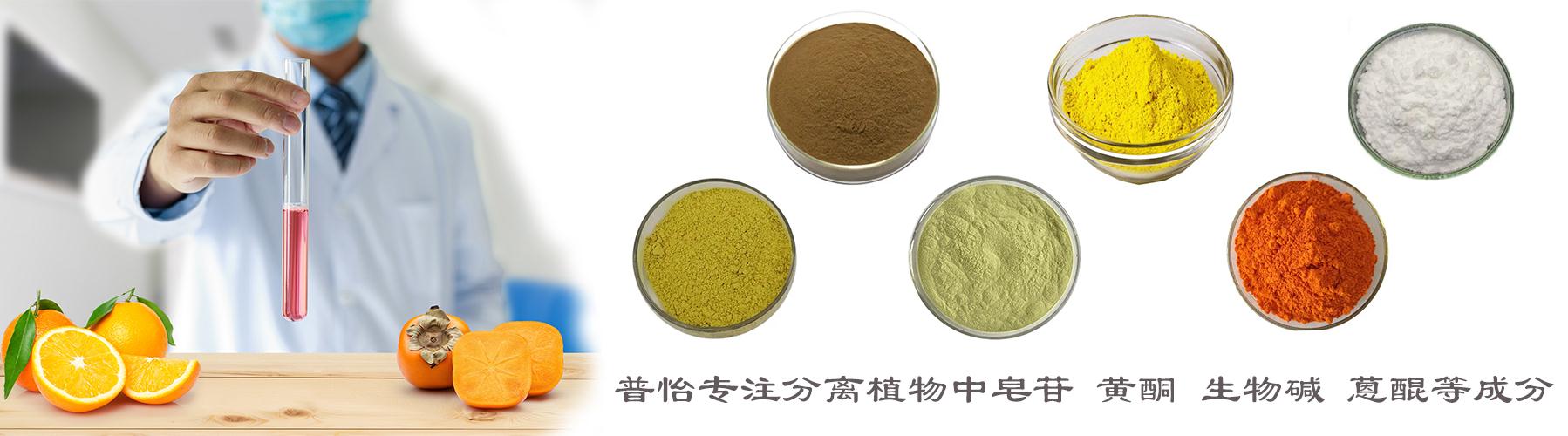 网站抬头.jpg 网站抬头.jpg