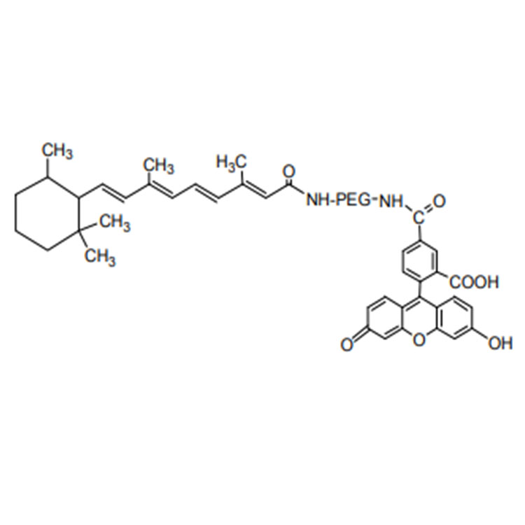 Retinoic acid-PEG-FITC，维甲酸-聚乙二醇-荧光素