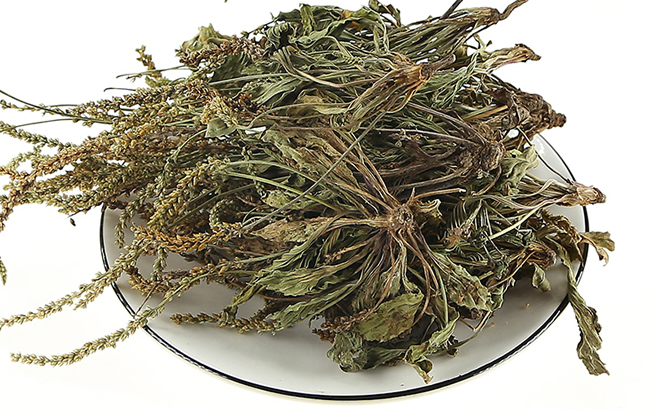 车前草多糖黄酮皂苷多糖多酚生物碱挥发油等提取树脂纯化成分分离定制及检测