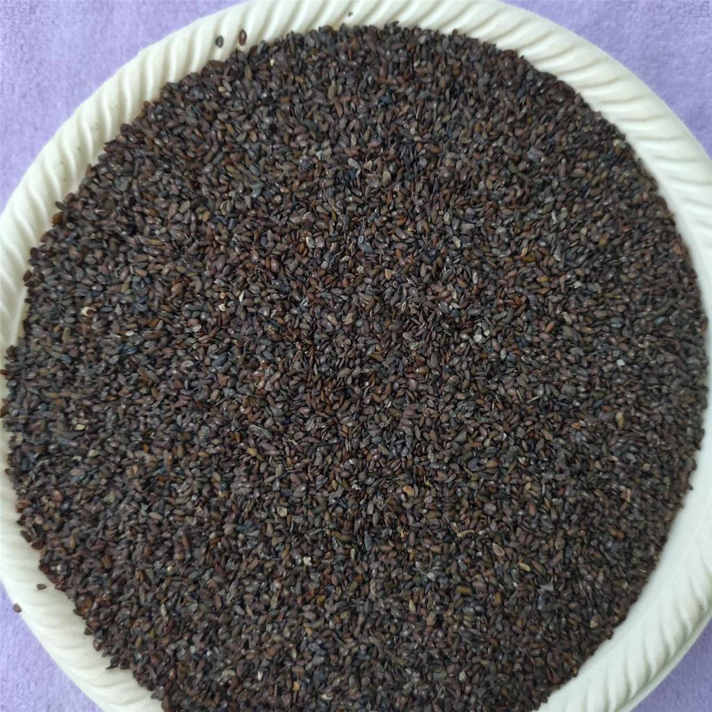 车前子多糖黄酮皂苷多糖多酚生物碱挥发油等提取树脂纯化成分分离定制及检测