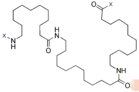 尼龙-12 24937-16-4