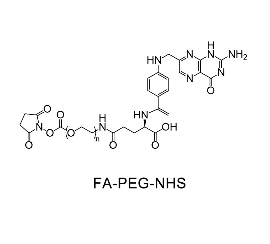 叶酸-聚乙二醇-活性酯；FA-PEG-NHS