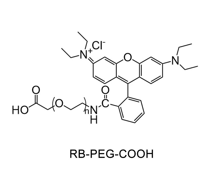 罗丹明-聚乙二醇-羧基；RB-PEG-COOH