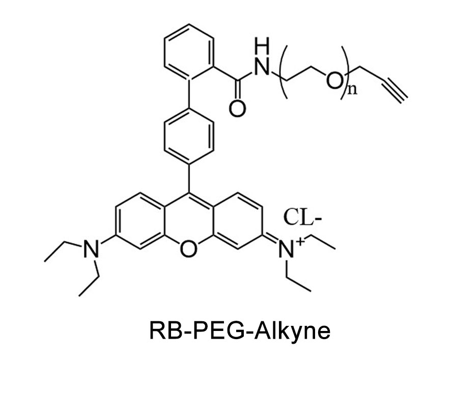 炔基-聚乙二醇-罗丹明；RB-PEG-Alkyne
